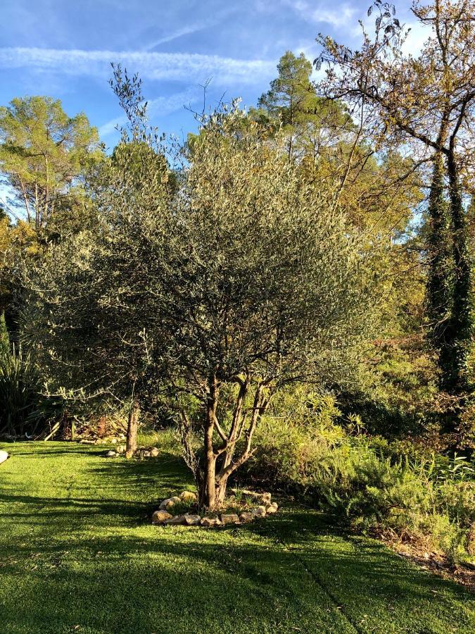 Le Clos De St Esprit Ντραγκινιάν Εξωτερικό φωτογραφία
